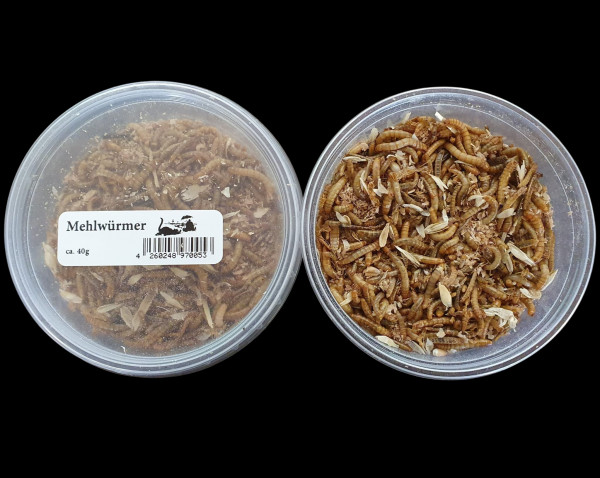 Mehlwürmer 40g