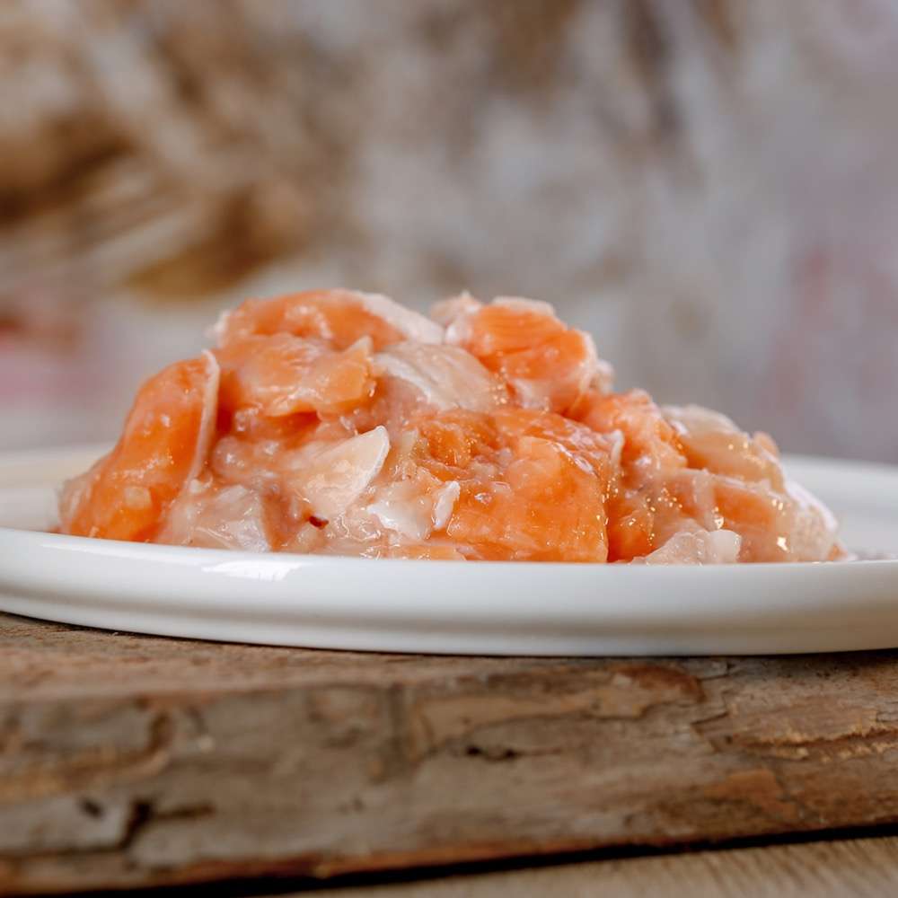 Lachs Würfel Fisch BARF / Frostfleisch Hund RohsinnRohkost für