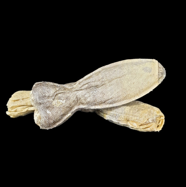 Kauknochen Lachs PUR 12cm (in Fischform)