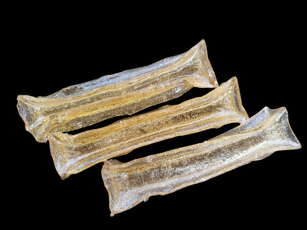 Kaustange Rind Kollagen klein PUR